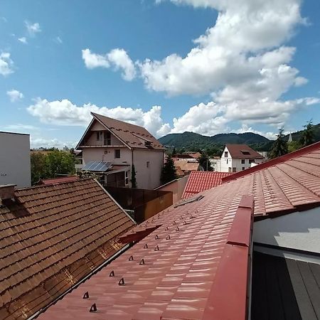 Old Town Studio 1 Apartment Nr 1 Baia Mare Exterior foto