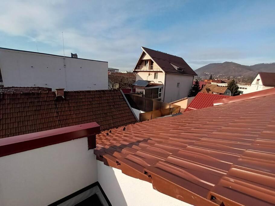 Old Town Studio 1 Apartment Nr 1 Baia Mare Exterior foto